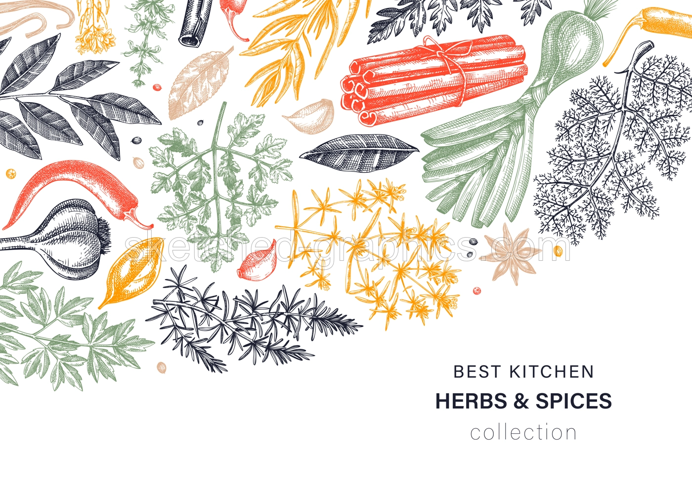 Hand-drawn herbs and spices vector background in color. Hand-sketched food illustration. Aromatic plants hand-drawing. Kitchen herbs and spice frame template in sketched style for menu or banners Illustration